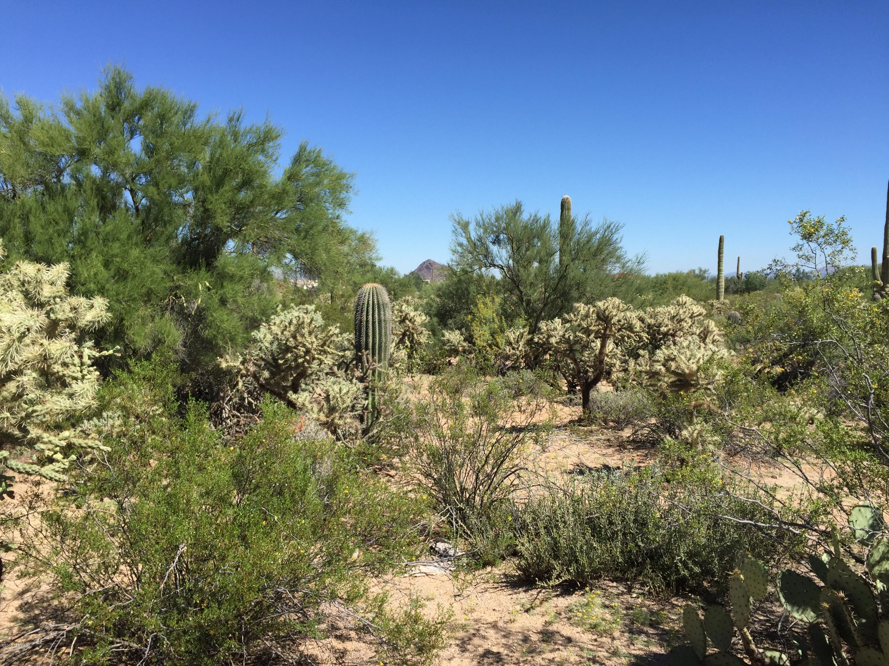 0 West Rudasill Road Tucson, AZ 85743 - Photo 2 of 15 Gallery Image 2