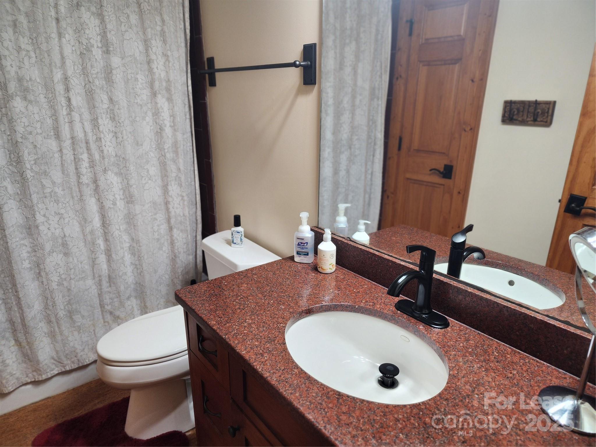 16946 Belle Isle Drive Cornelius, NC 28031 - Photo 33 of 48