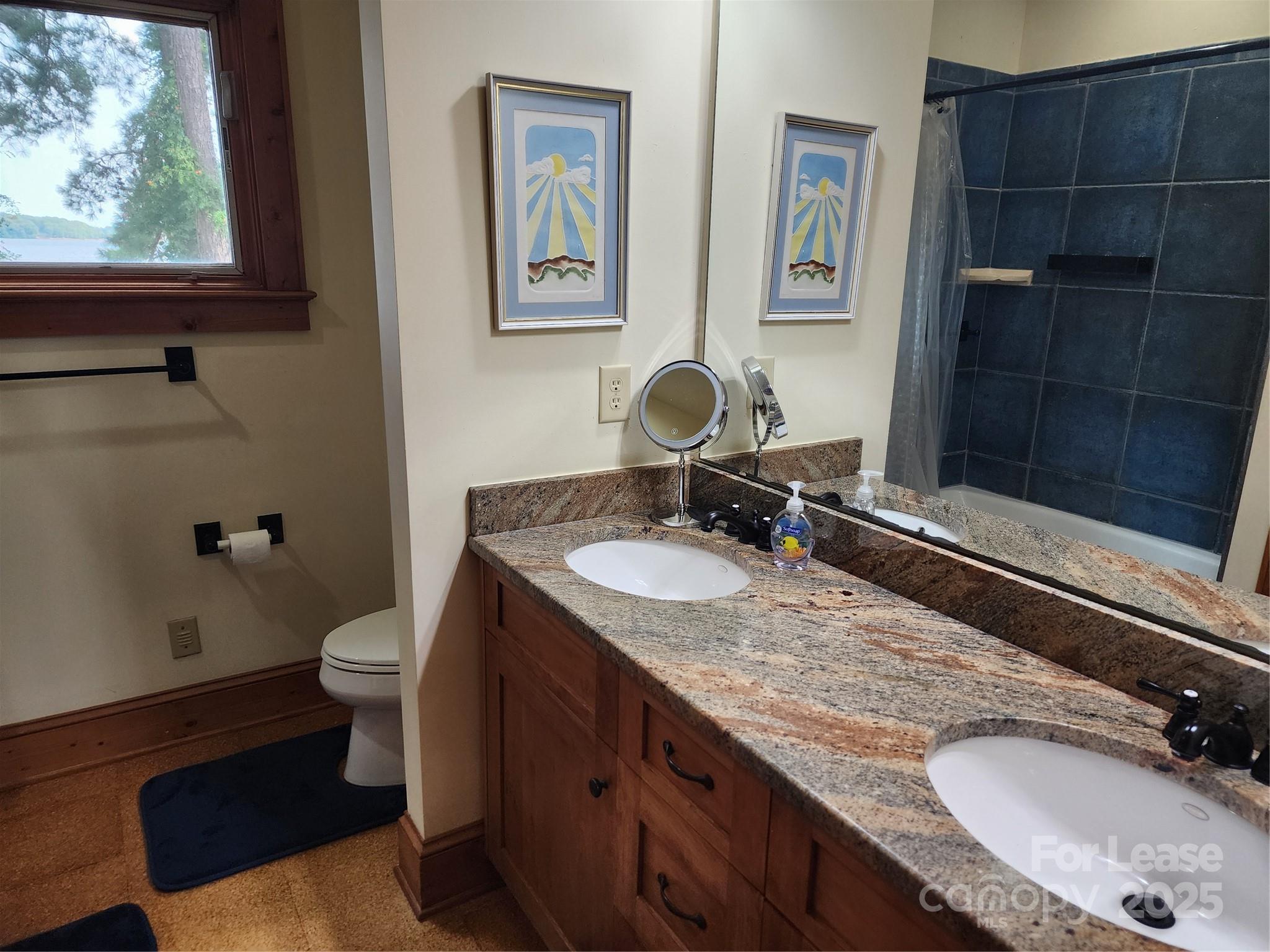 16946 Belle Isle Drive Cornelius, NC 28031 - Photo 46 of 48