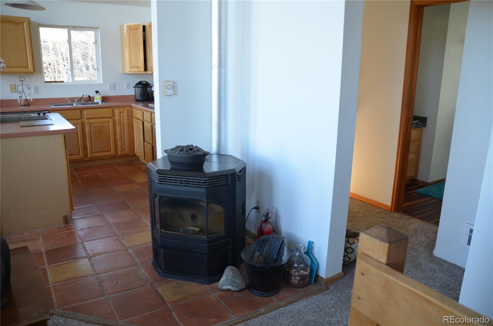 1996 Mockingbird Trail Bailey, CO 80421 - Photo 3 of 15 Gallery Image 3