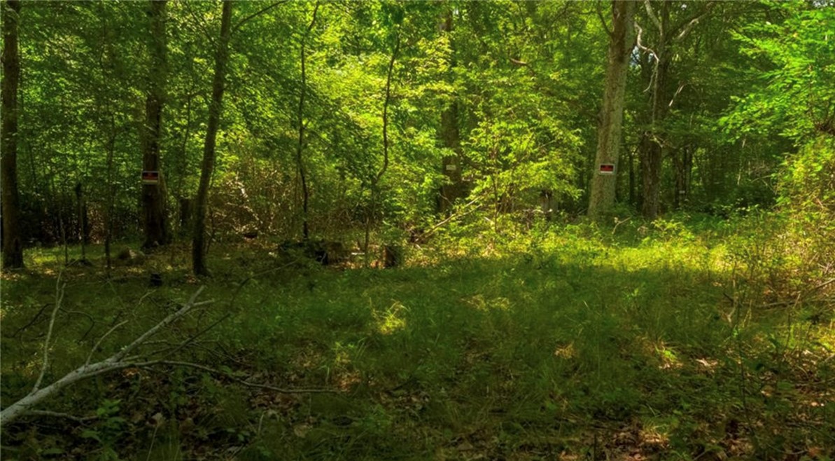 0 Lawton Foster Road South Hopkinton, RI 02833 - Photo 2 of 19