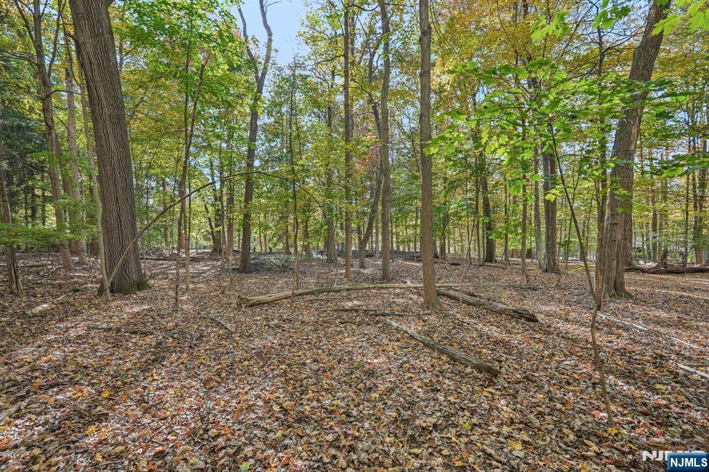 59 Old Stone Church Road Upper Saddle River, NJ 07458 - Photo 22 of 24 a view of a forest with trees in the background