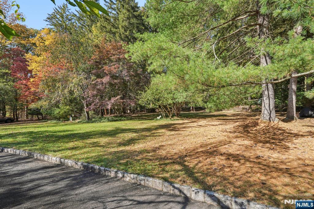 59 Old Stone Church Road Upper Saddle River, NJ 07458 - Photo 24 of 24 a view of a trees in a yard