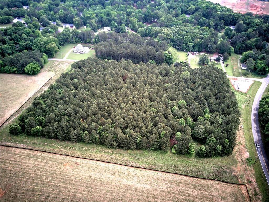 720 Euharlee Road Southwest Cartersville, GA 30120 - Photo 8 of 13 a view of a yard with plants and large trees