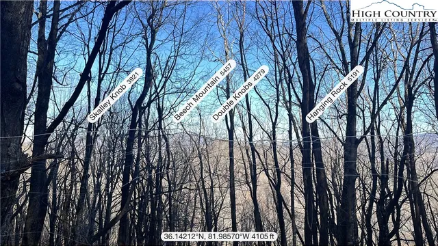 a view of tree in front of a house