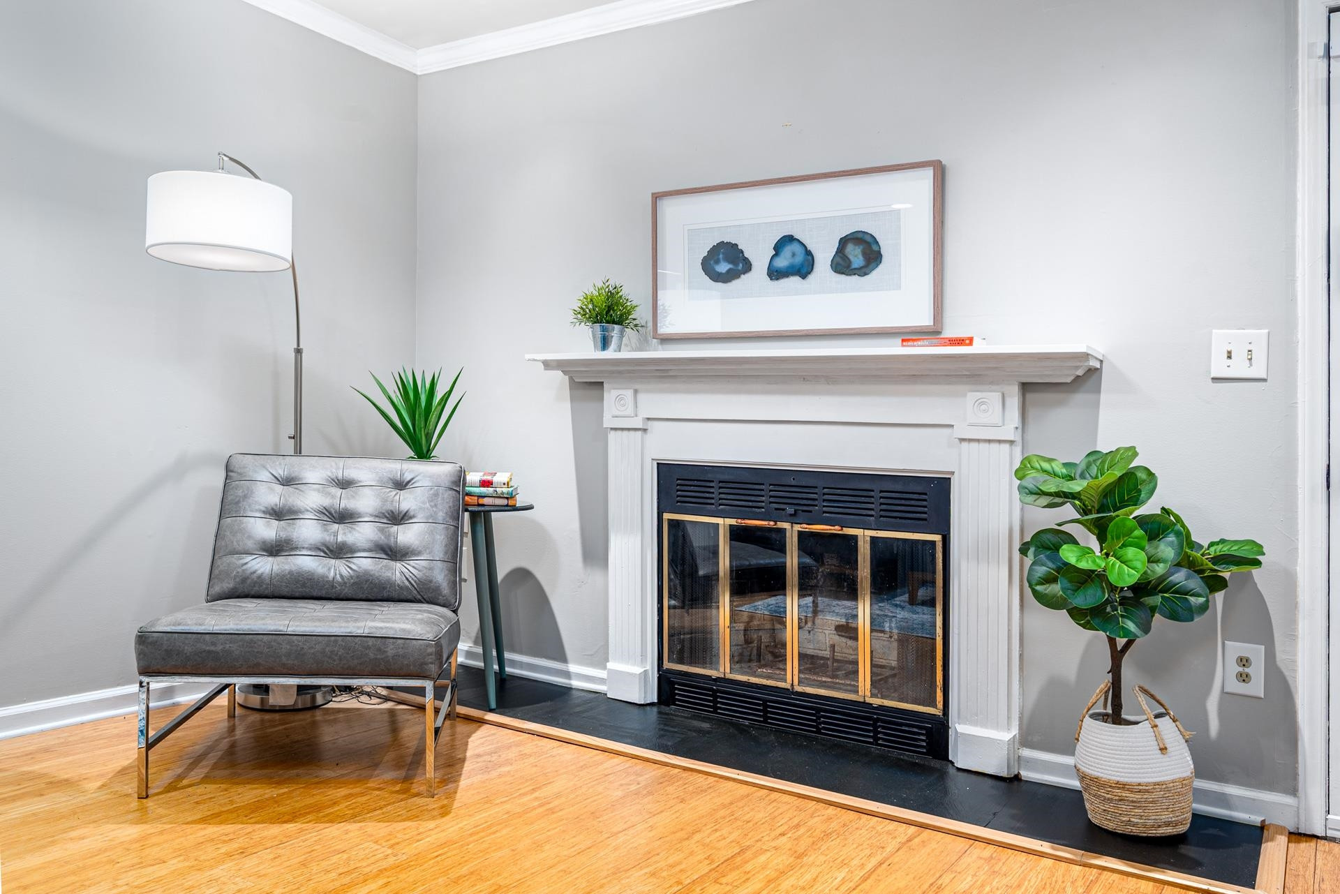118 Long Shadow Place Durham, NC 27713 - Photo 5 of 24 a living room with a potted plant and a fireplace