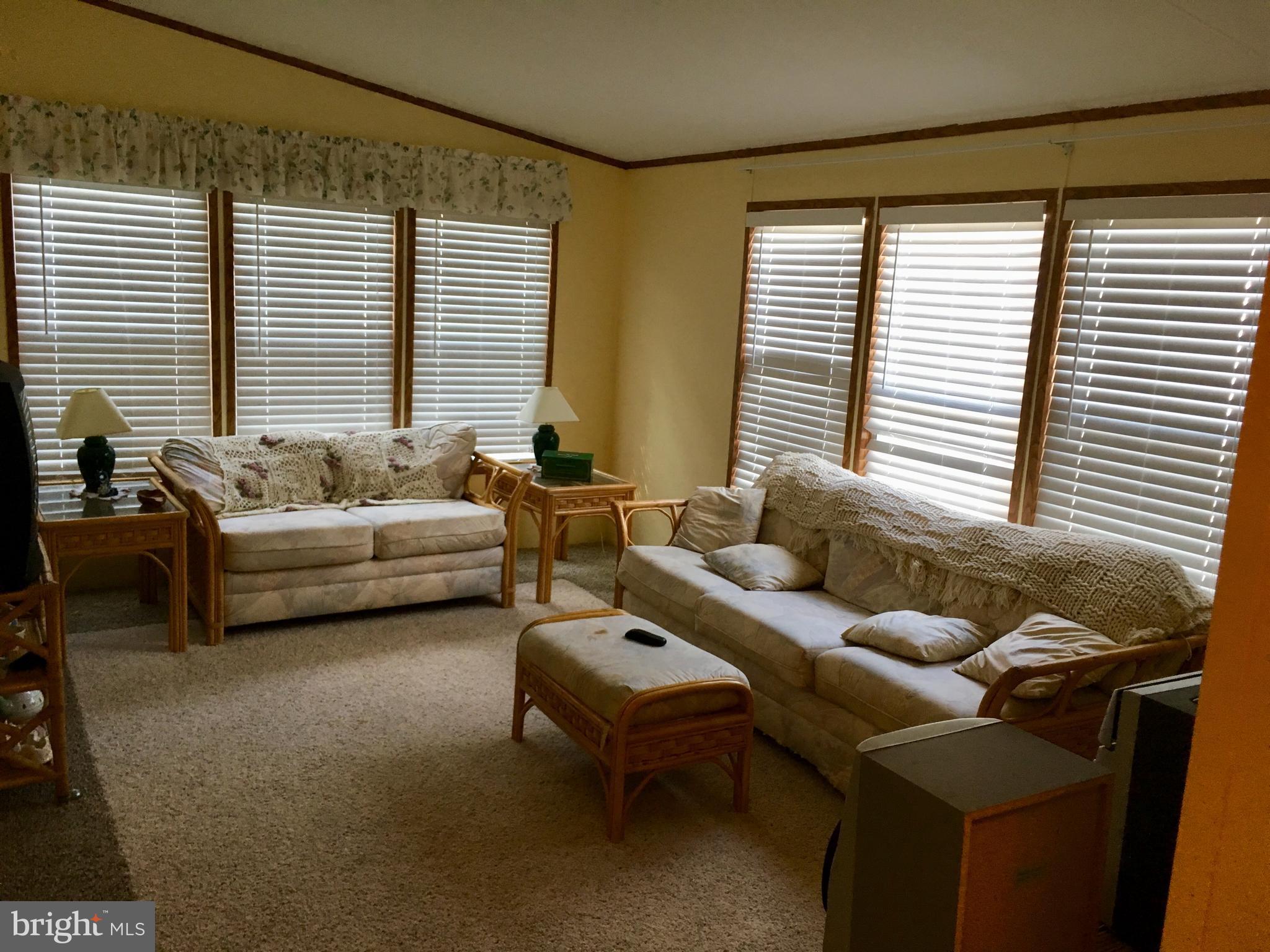 Den with custom carpeting