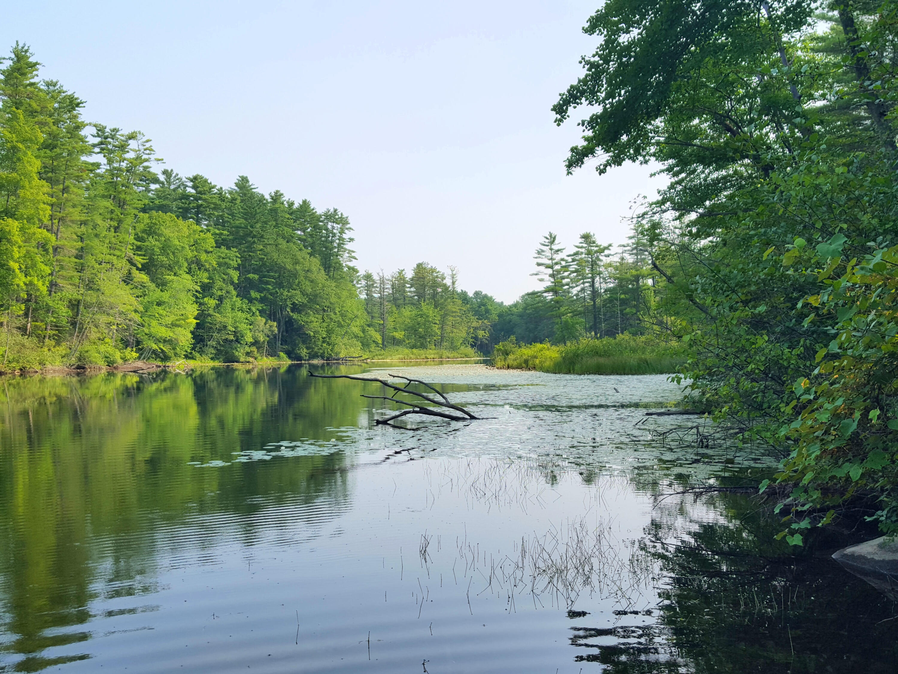 594 River Road Windham, ME 04062 - Photo 24 of 34