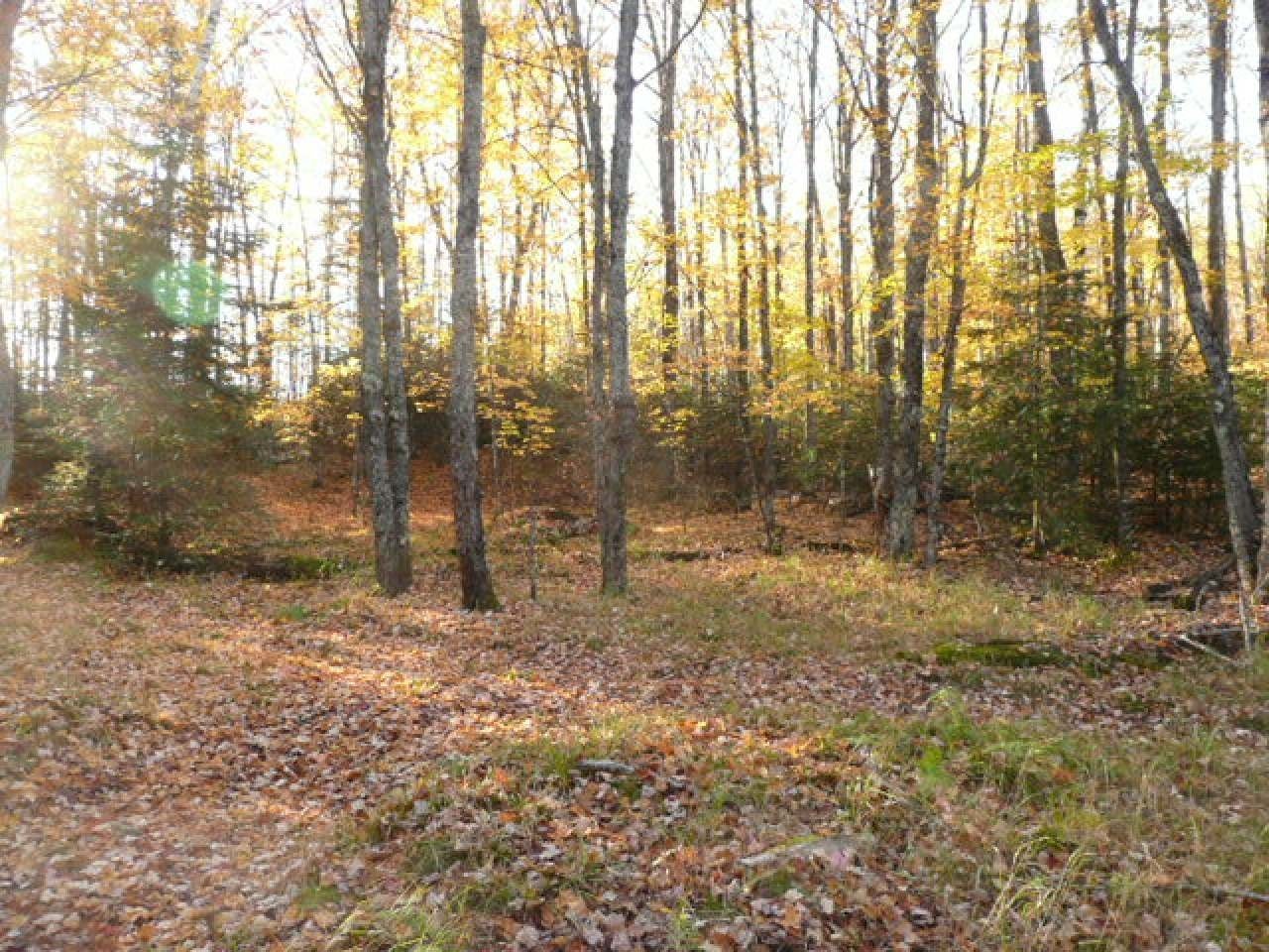 Near Twin Lake Road Conover, WI 54519 - Photo 6 of 16 Gallery Image 6