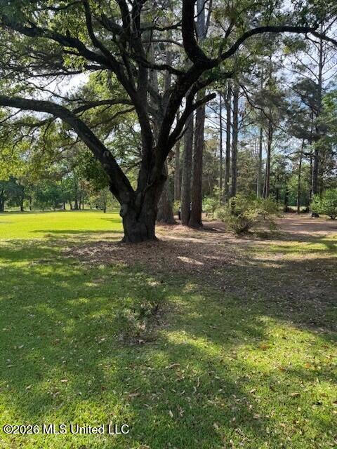 80 Nolan Road Benton, MS 39039 - Photo 16 of 16 20