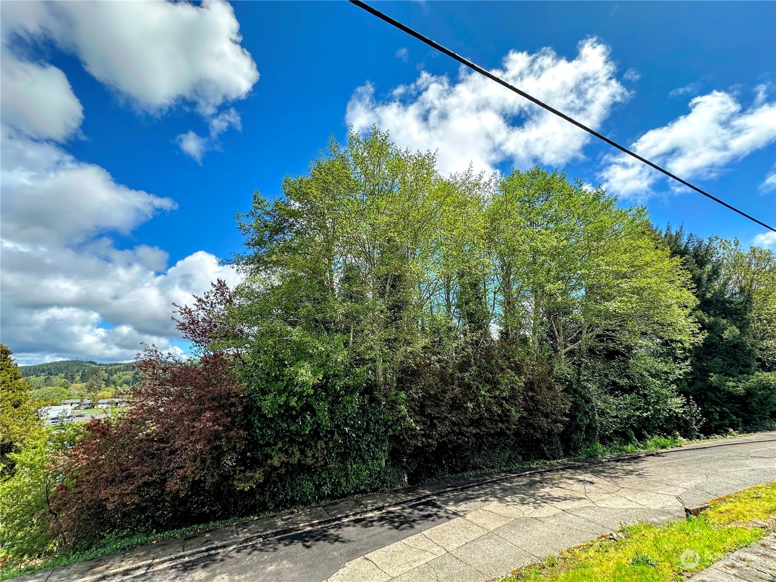 816 Terrace Avenue Aberdeen, WA 98520 - Photo 1 of 12 a view of a yard