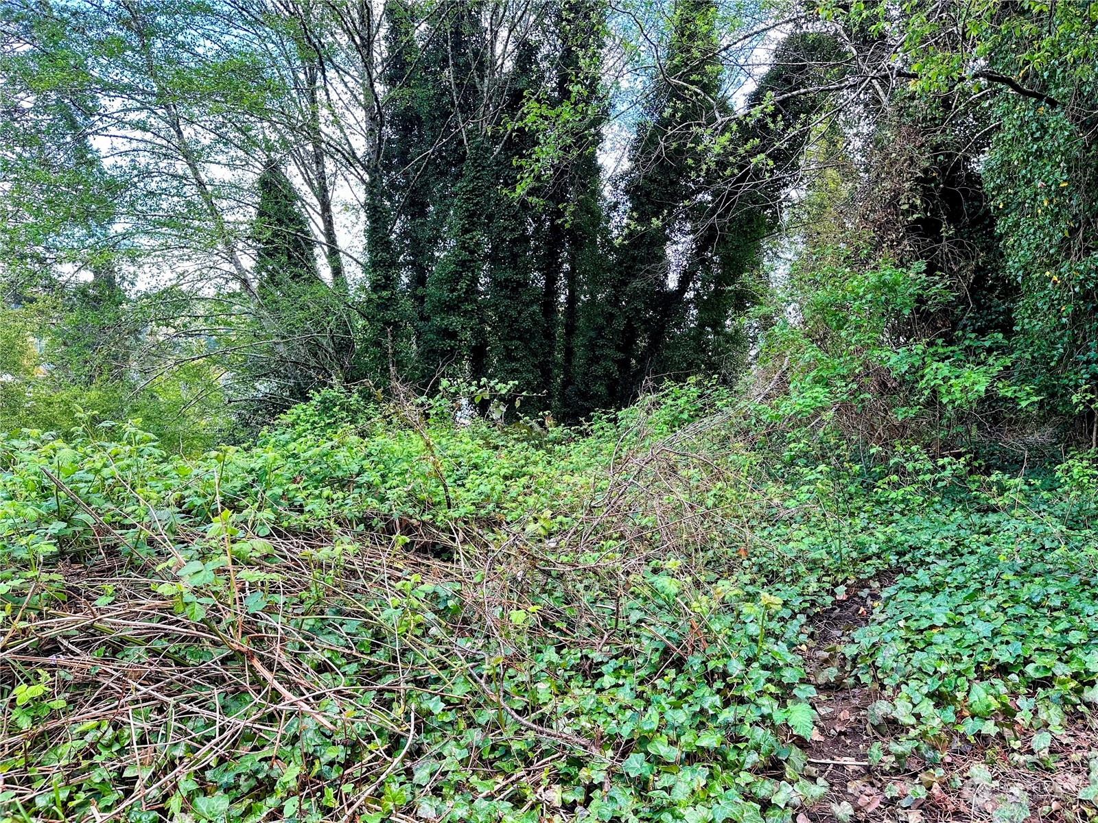 816 Terrace Avenue Aberdeen, WA 98520 - Photo 6 of 12