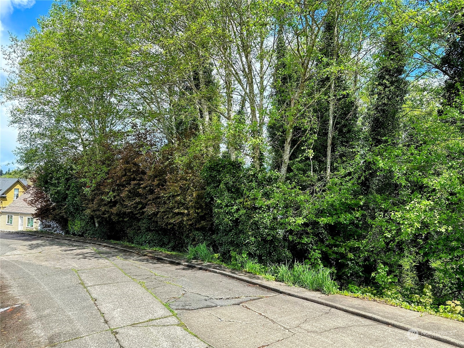 816 Terrace Avenue Aberdeen, WA 98520 - Photo 9 of 12 a view of a garden