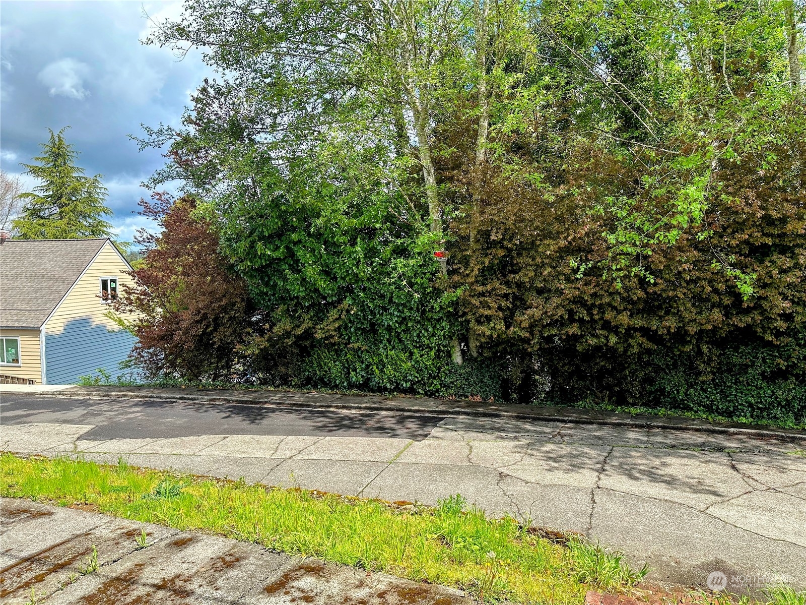 816 Terrace Avenue Aberdeen, WA 98520 - Photo 10 of 12 a view of backyard with green space