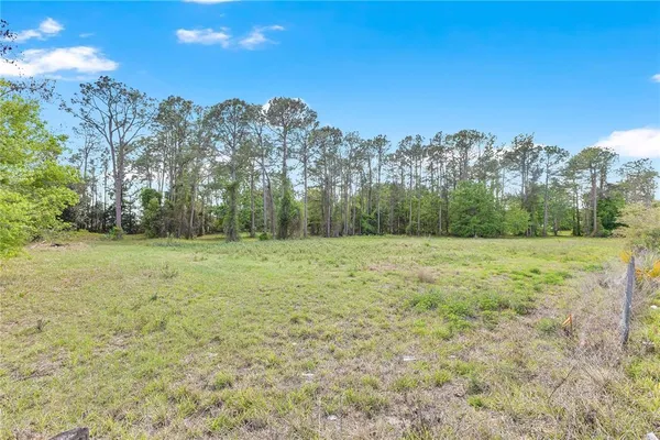 a view of a field with trees in the background