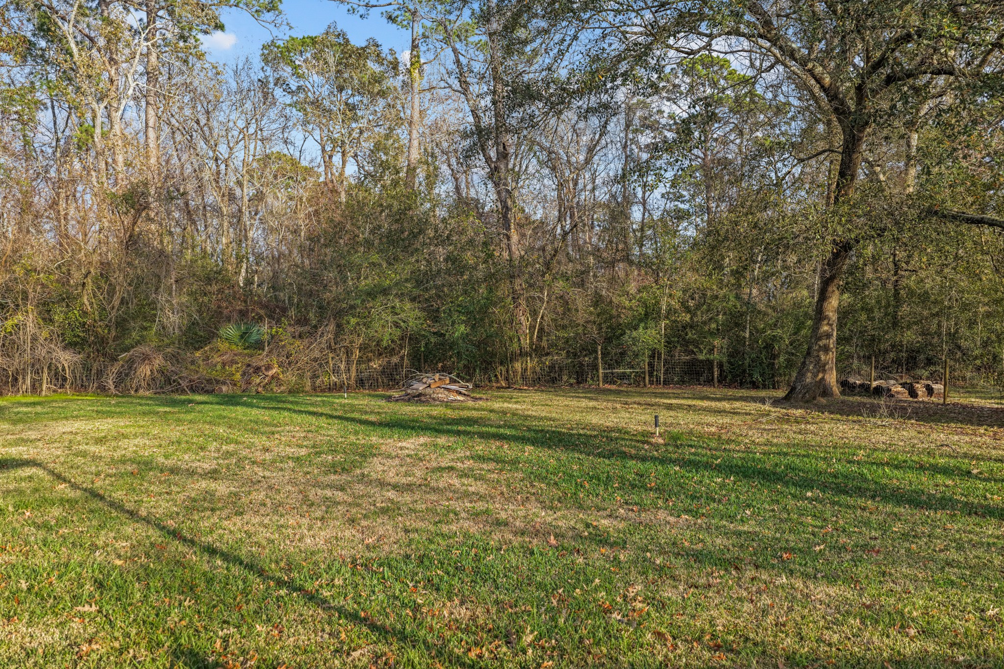 12902 Indian Ridge Drive Dayton, TX 77535 - Photo 30 of 31 a view of a grassy field with trees