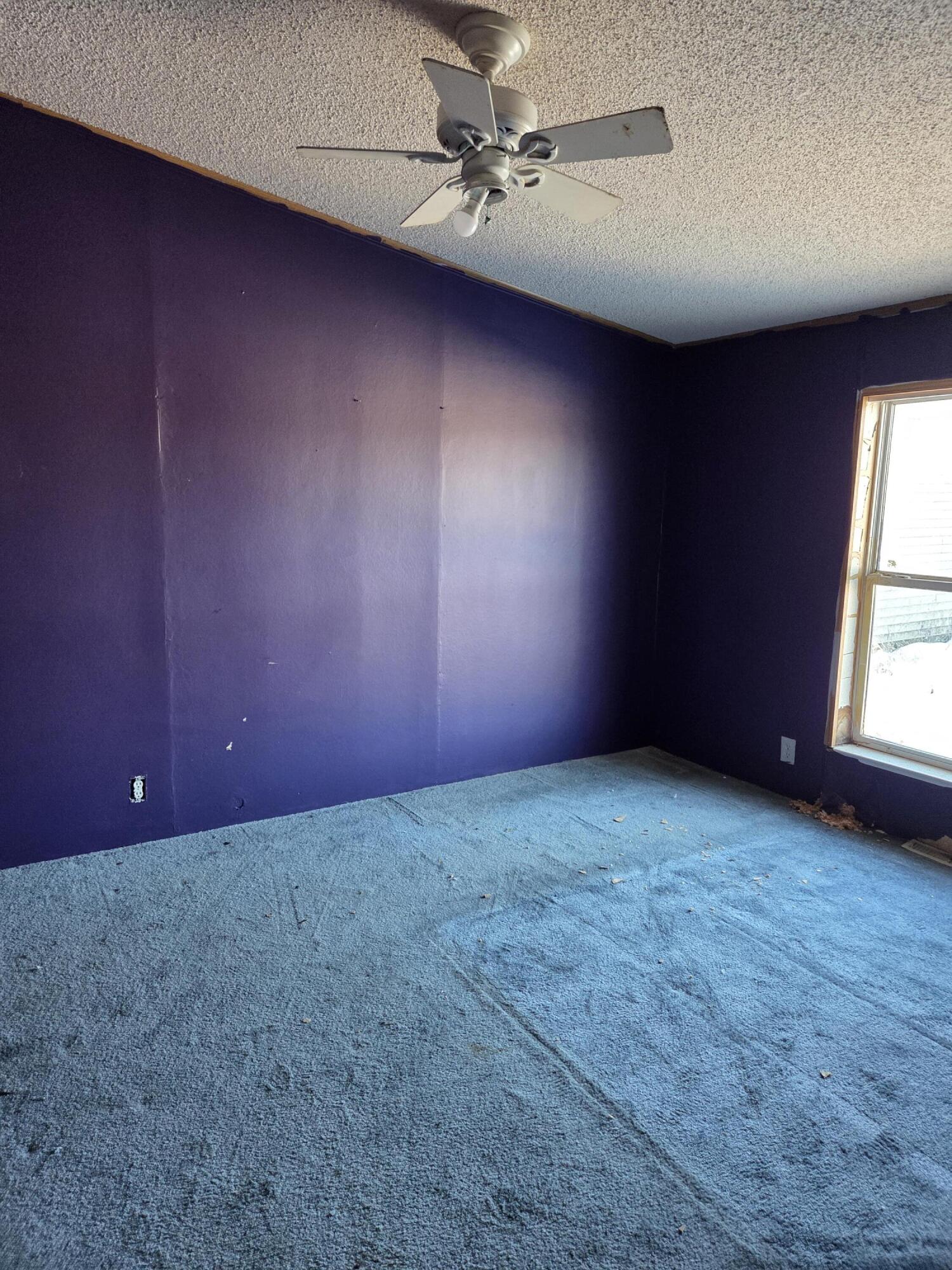 3551 North Neff Road Edmore, MI 48829 - Photo 9 of 10 20251204_094120