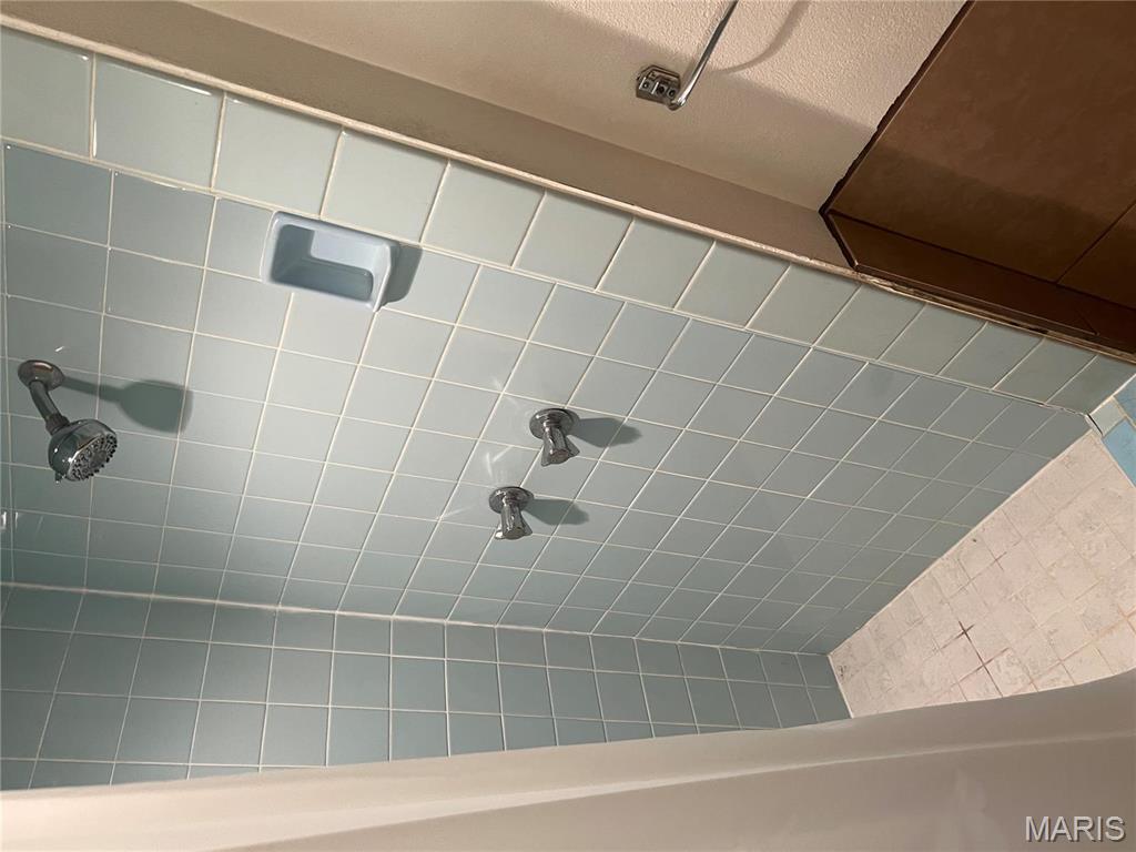 184 County Road 345 Jackson, MO 63755 - Photo 13 of 17