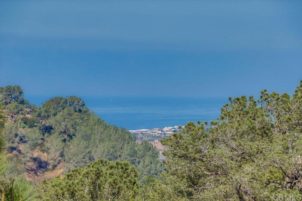 14224 Recuerdo Drive Del Mar, CA 92014 - Photo 20 of 21 a view of a large body of water with a tree in the background