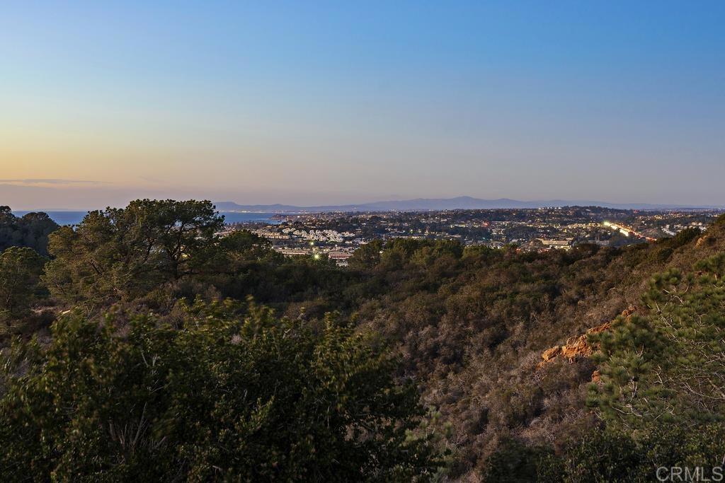 14224 Recuerdo Drive Del Mar, CA 92014 - Photo 3 of 21 an aerial view of multiple house