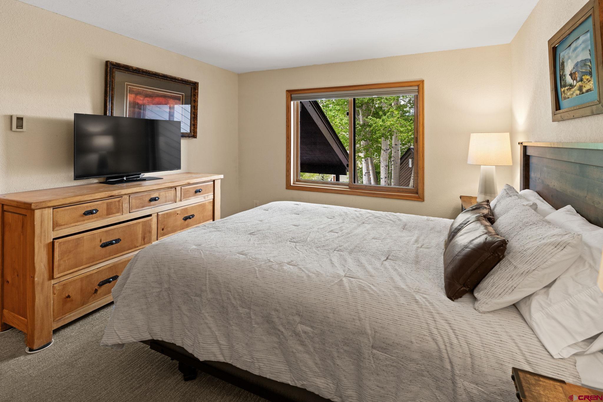21 Castle Road, Unit 10 Crested Butte, CO 81225 - Photo 12 of 27