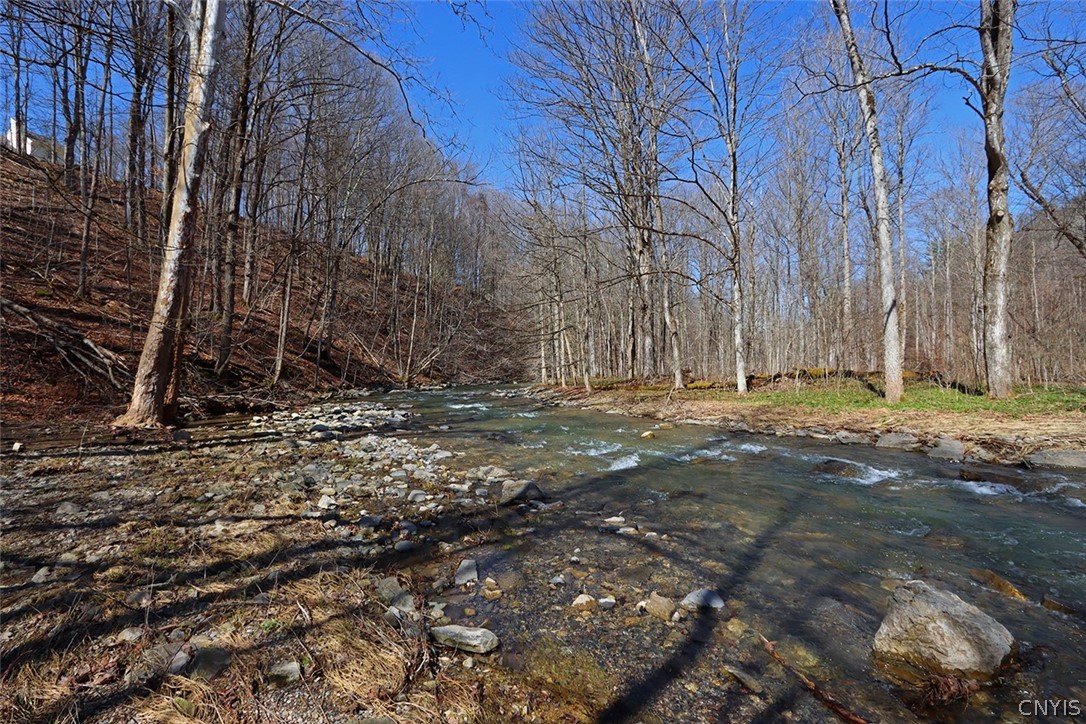 4420 Watervale Road Pompey, NY 13104 - Photo 42 of 50