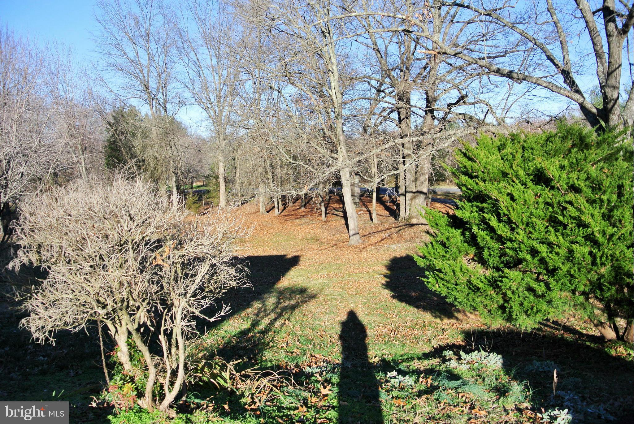 4837 Old Chapel Road Catlett, VA 20119 - Photo 8 of 30 Exterior (Front)