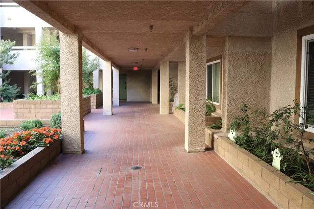 a view of a room with lots of potted plants