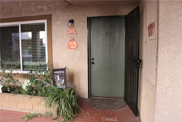 a couple of potted plants in front of door