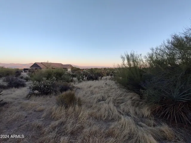 a view of a yard of the yard