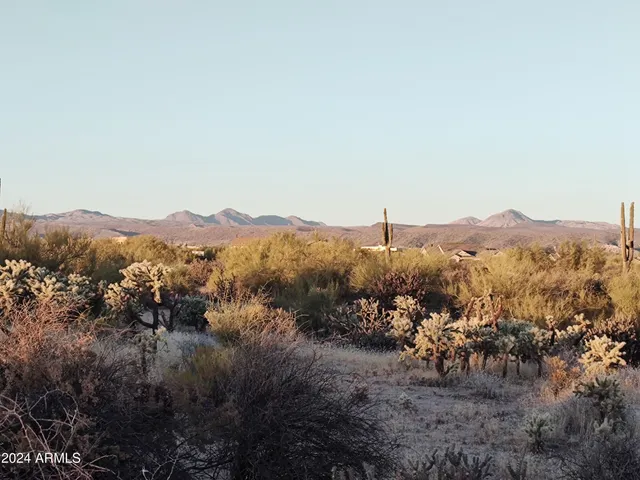 a view of a city with lush green forest