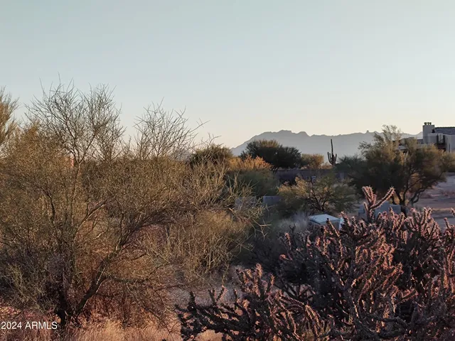a view of a dry yard with trees