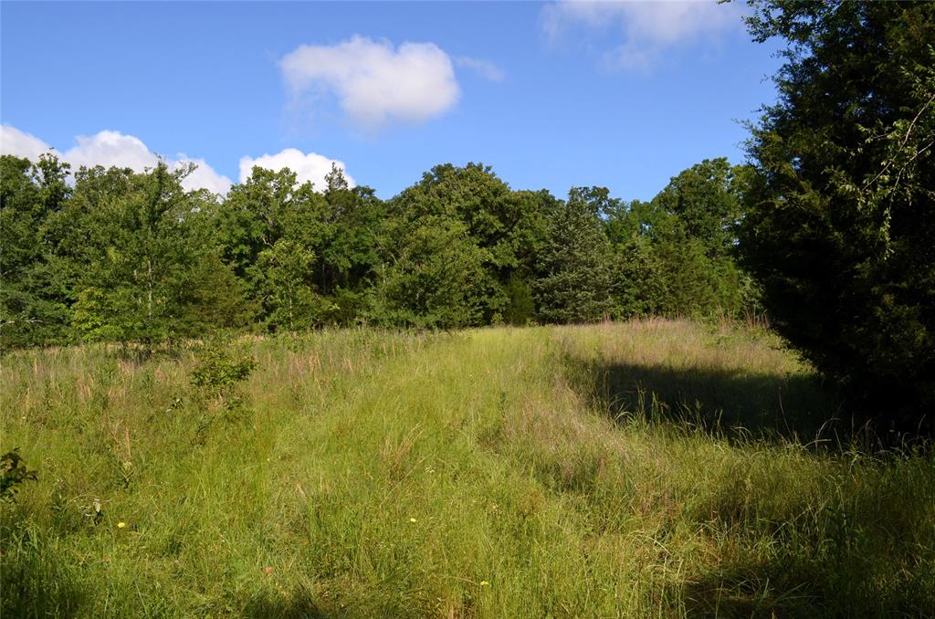 760 County Road, Unit 2315 Eustace, TX 75124 - Photo 10 of 19 a view of lake with green space