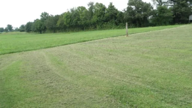 a view of a field with trees in the background