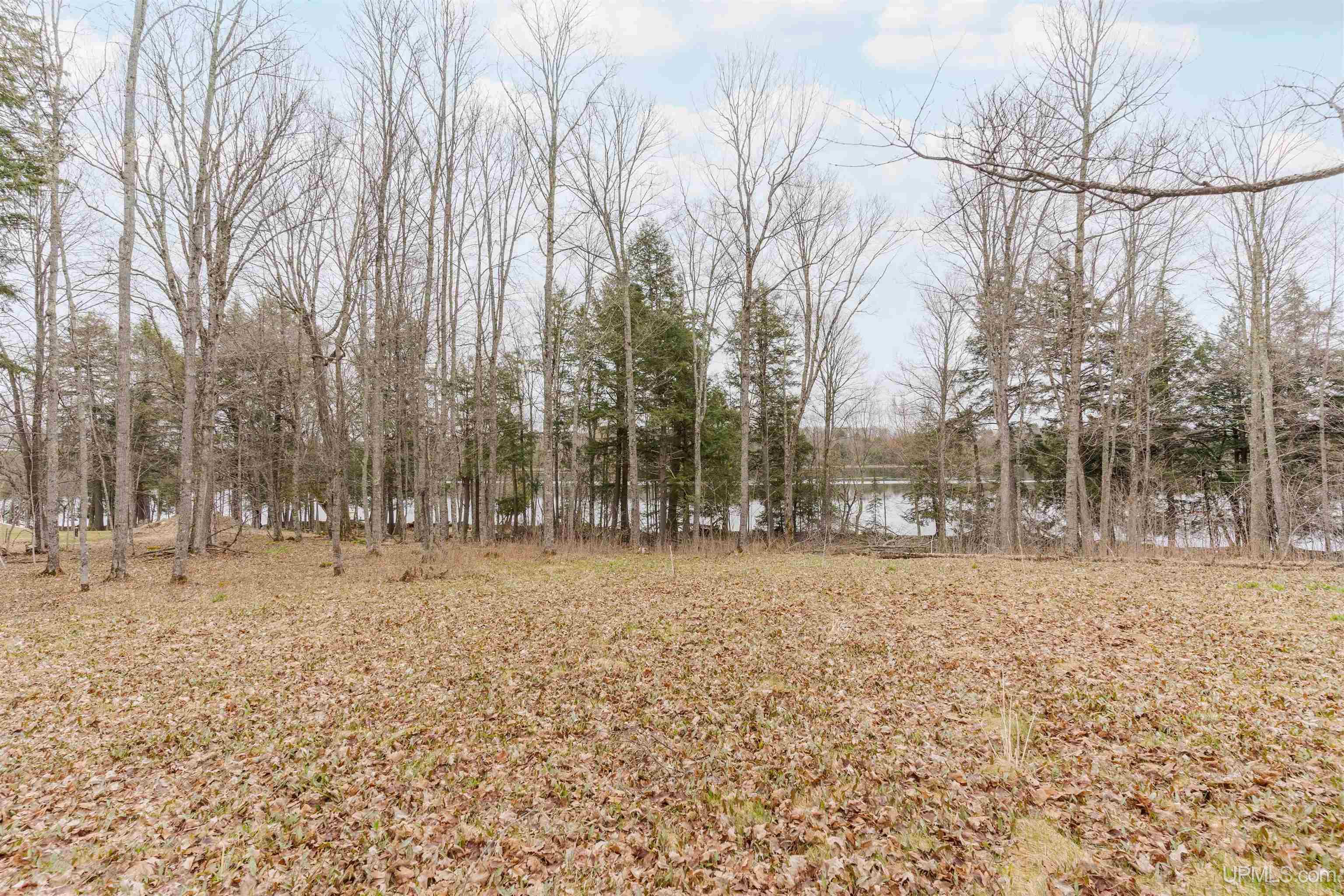 Tbd University Road, Unit LOT 13 Iron River, MI 49935 - Photo 23 of 28