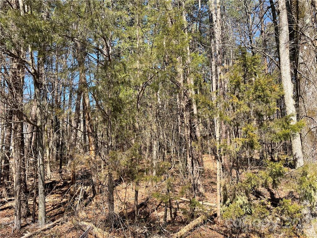 3505 Camp Julia Road Kannapolis, NC 28083 - Photo 1 of 1 Gallery Image 1