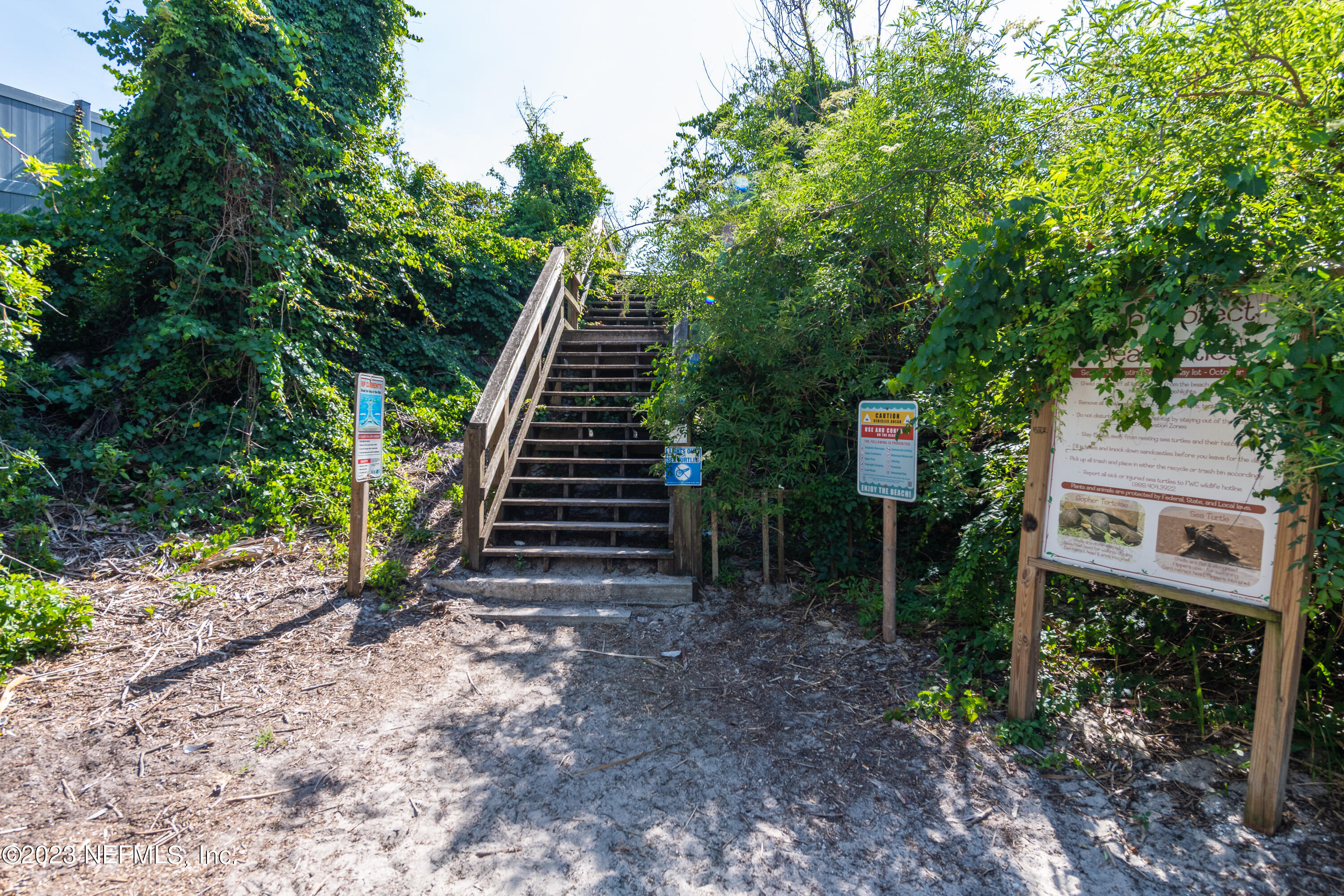 7175 A1A South, Unit F141 St. Augustine, FL 32080 - Photo 30 of 36 a view of a backyard with plants and a trees