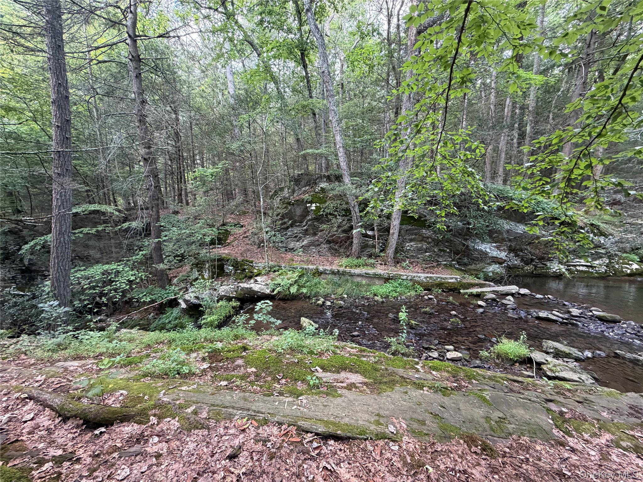 209 Route Wawarsing, NY 12489 - Photo 2 of 24 Cross the kill to access land.