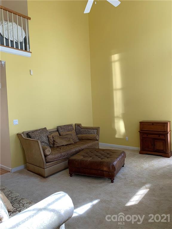 3081 River Bend Drive Tega Cay, SC 29708 - Photo 3 of 15 a living room with a couch and a potted plant on it