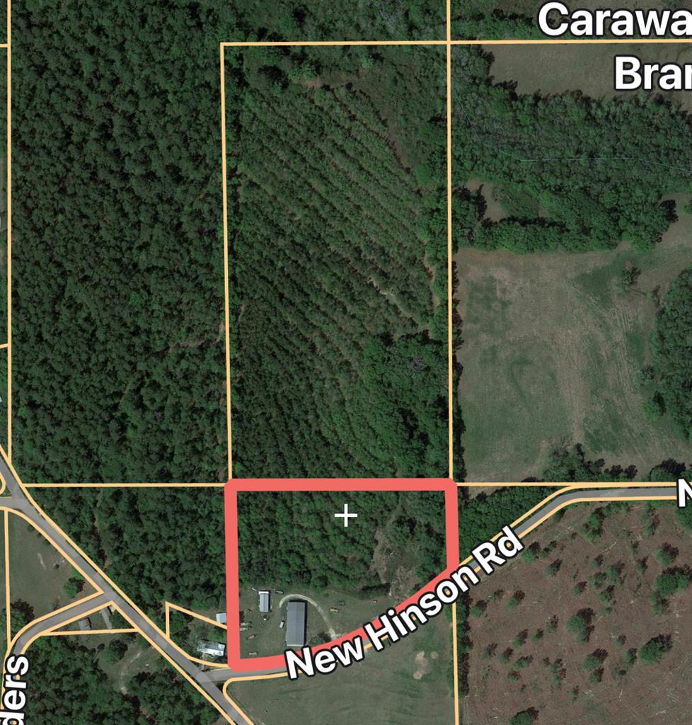 3912 New Hinson Road Slocomb, AL 36375 - Photo 10 of 11