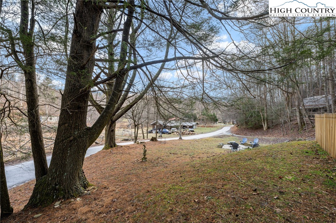 295 Jake's Mountain Road Boone, NC 28607 - Photo 33 of 47 a view of a tree in the middle of a yard