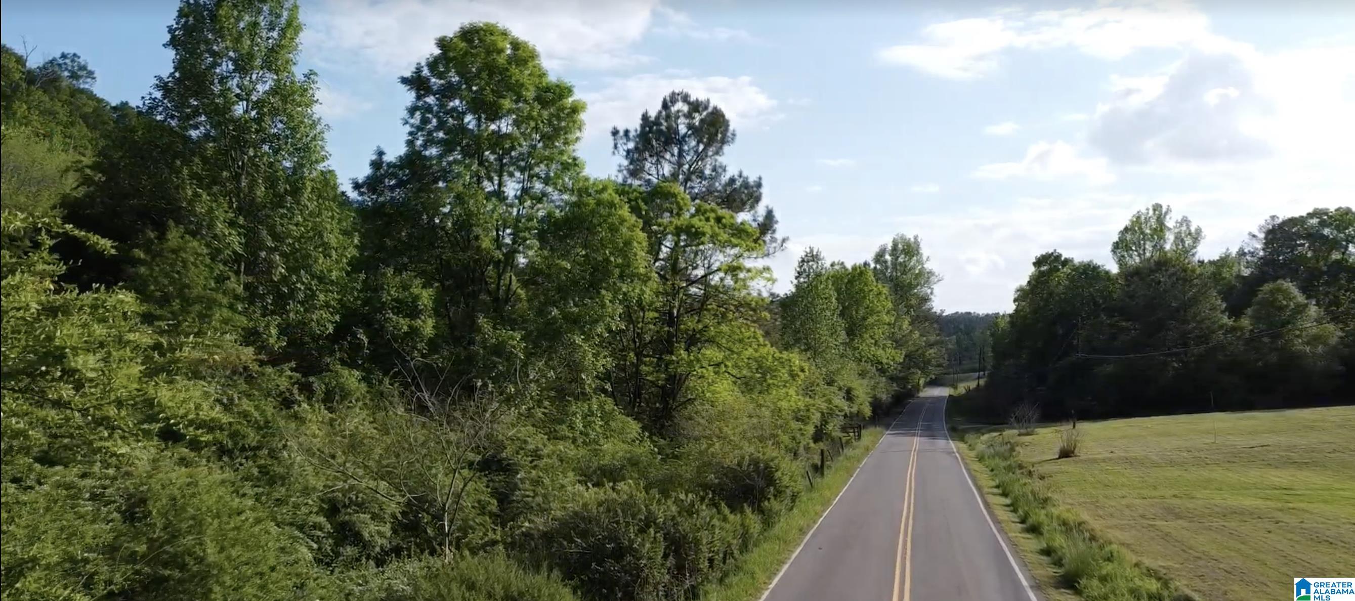 7951 River Road Dora, AL 35062 - Photo 16 of 28
