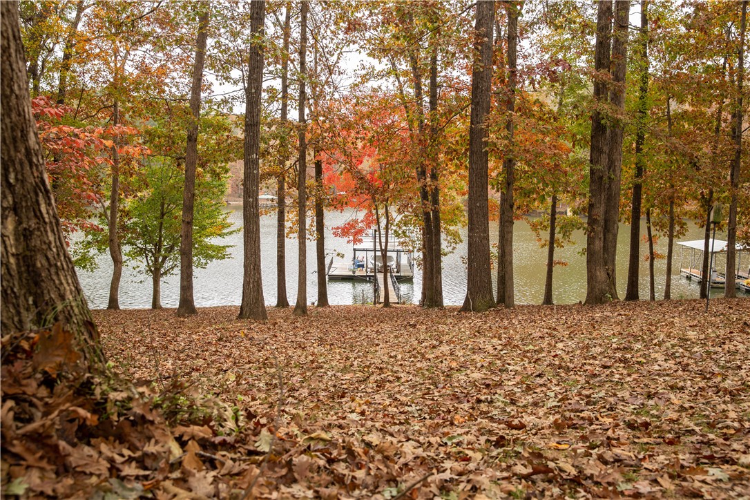 780 South Alexander Road Seneca, SC 29678 - Photo 31 of 39 Gallery Image 31