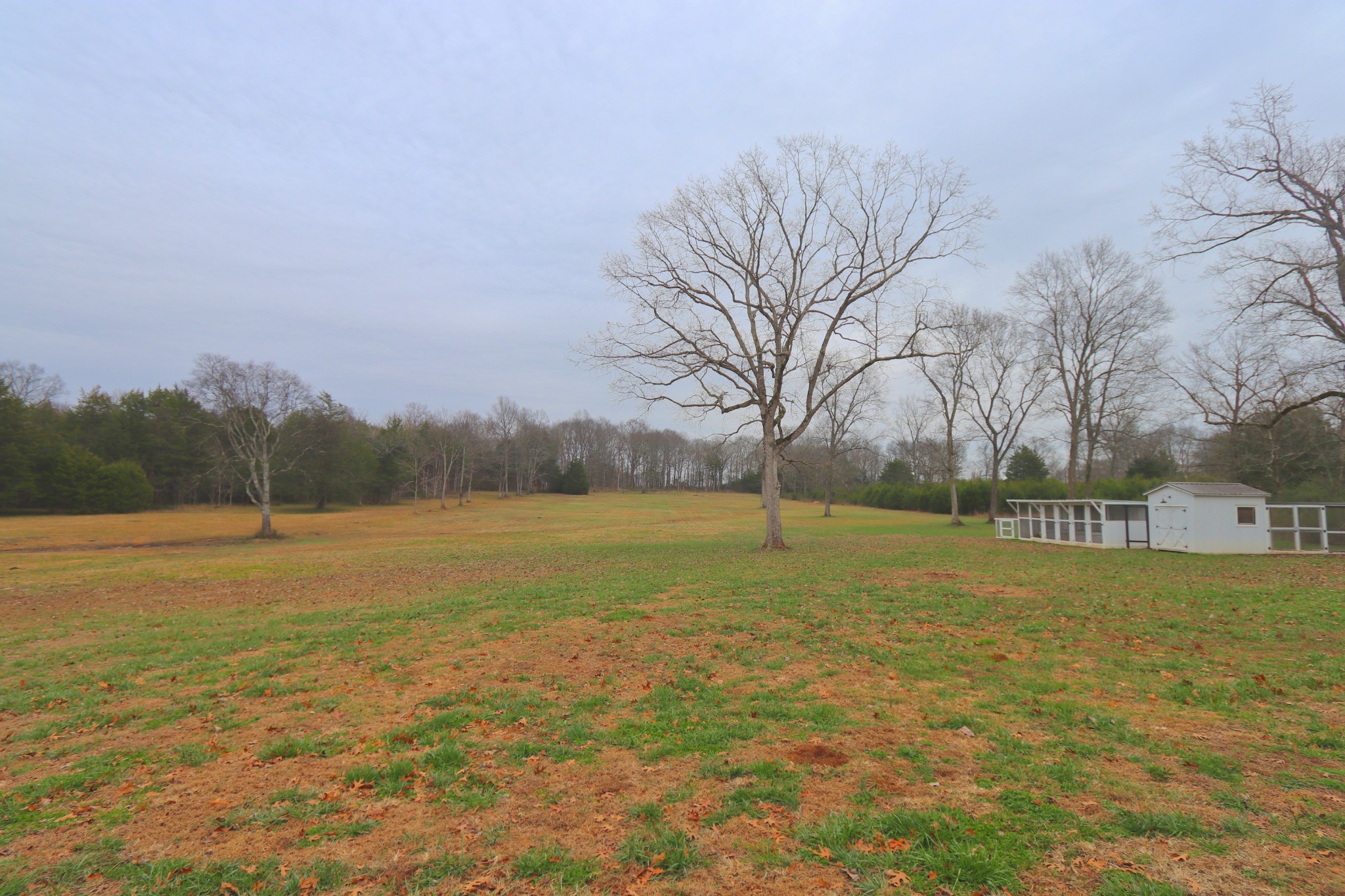 395 Harrison Road Shelbyville, TN 37160 - Photo 27 of 30 a view of an ocean