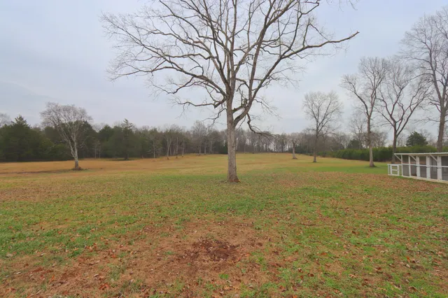 a view of a field with tree in the background