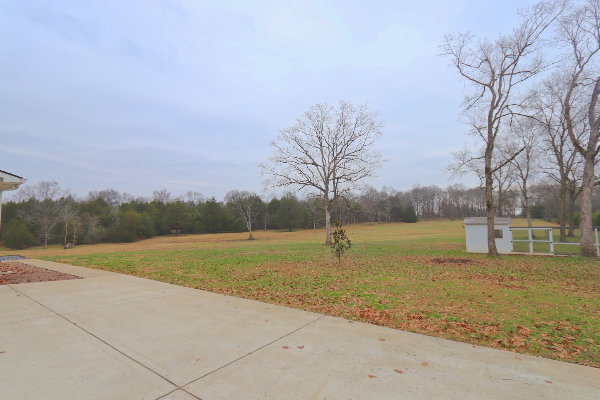 395 Harrison Road Shelbyville, TN 37160 - Photo 29 of 30 a view of an outdoor space and a yard