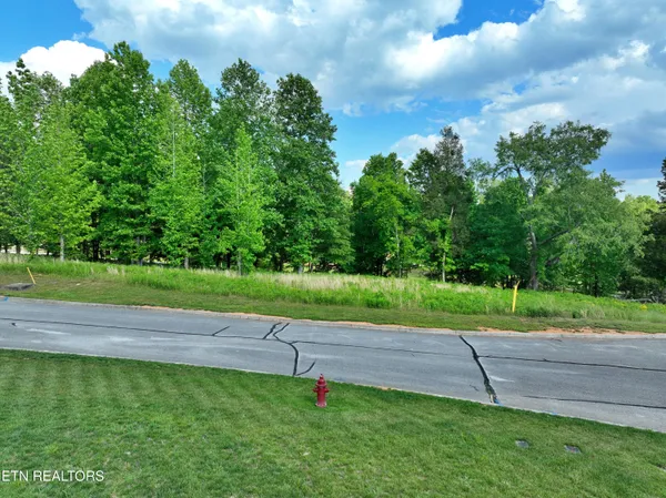 $75,000 | Lot 56 Blue Heron Bluff Road, Harriman, TN 37748
