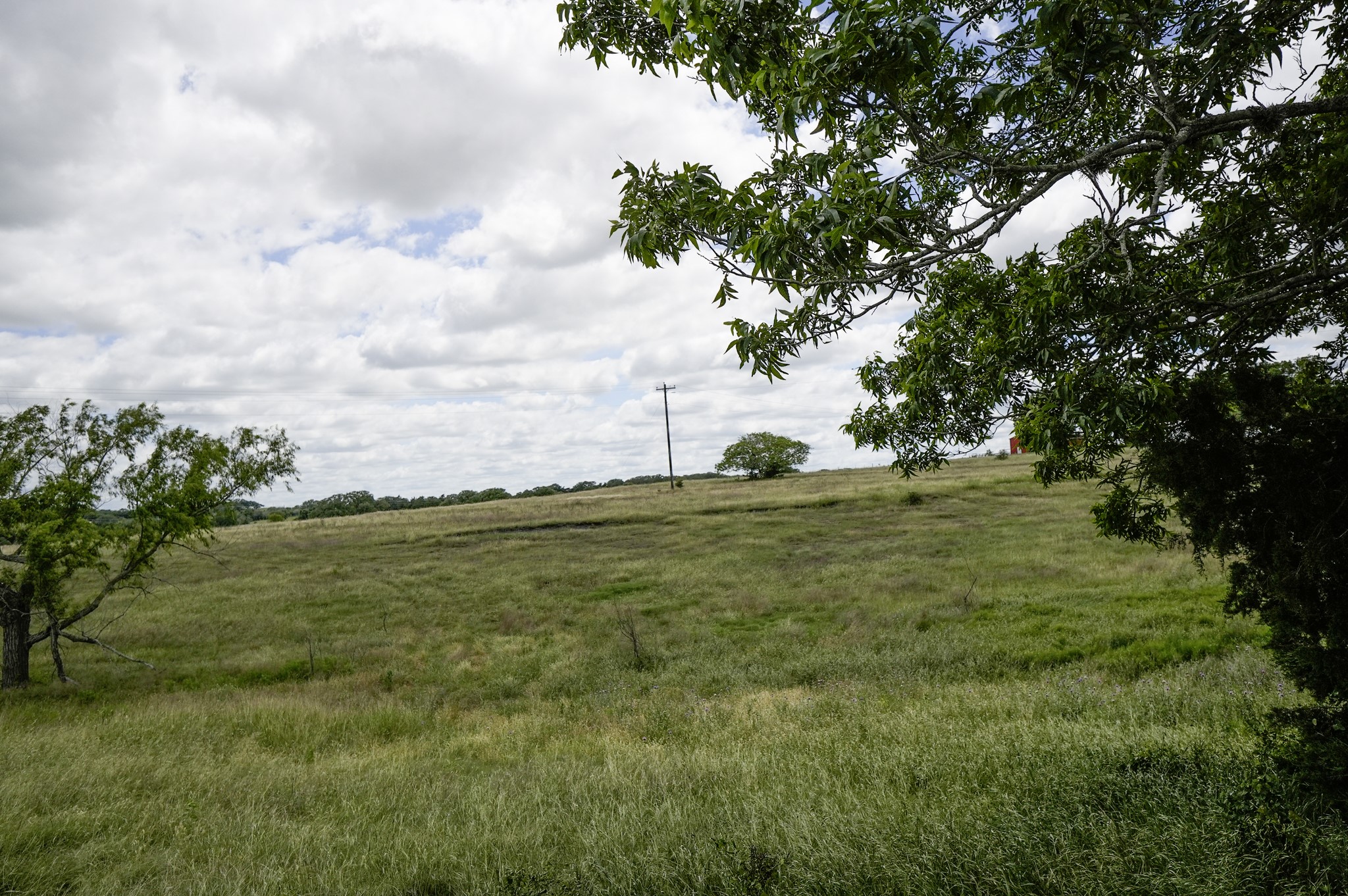 1432 South Knezek Road Flatonia, TX 78941 - Photo 9 of 16