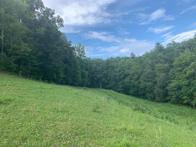 691 Dry Branch Road Hazel Green, KY 41332 - Photo 14 of 33 IMG_4319