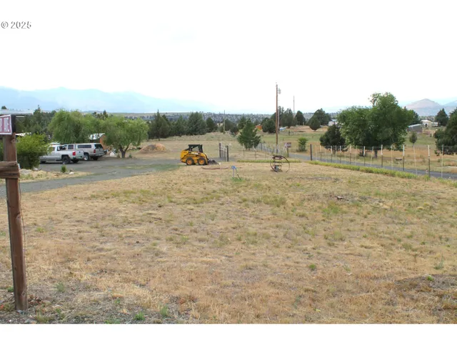 a view of a dry yard with trees
